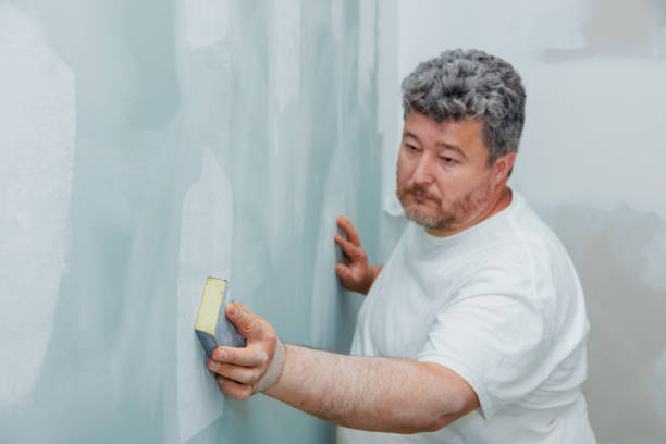 Best Mold Documentation for Insurance Claims  in Tidmore Bend, AL