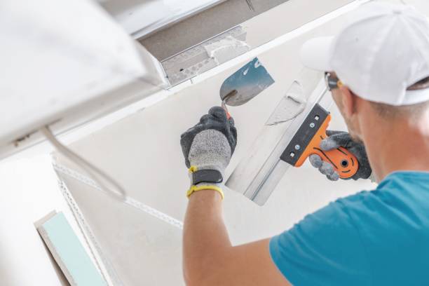Best Environmental Consulting for Mold Prevention  in Tidmore Bend, AL